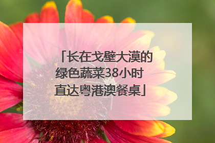 长在戈壁大漠的绿色蔬菜38小时直达粤港澳餐桌