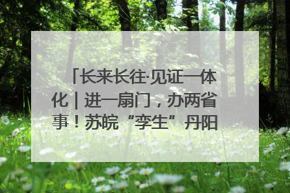 长来长往·见证一体化｜进一扇门，办两省事！苏皖“孪生”丹阳如何做到的？
