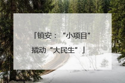 镇安：“小项目”撬动“大民生”
