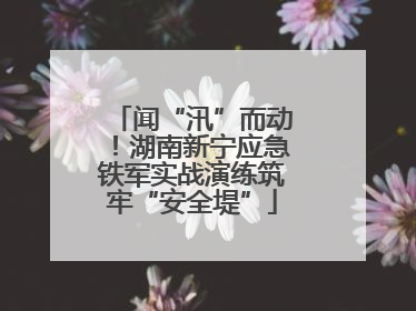 闻“汛”而动！湖南新宁应急铁军实战演练筑牢“安全堤”