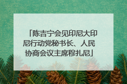 陈吉宁会见印尼大印尼行动党秘书长、人民协商会议主席穆扎尼