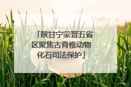 陕甘宁蒙晋五省区聚焦古脊椎动物化石司法保护