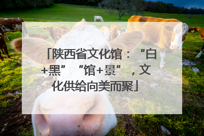 陕西省文化馆：“白+黑”“馆+景”，文化供给向美而聚