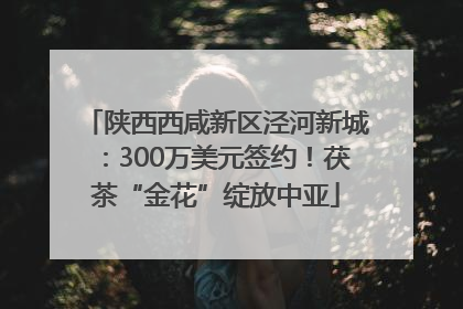 陕西西咸新区泾河新城：300万美元签约！茯茶“金花”绽放中亚