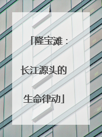 隆宝滩：长江源头的生命律动