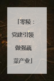 零陵：党建引领 做强蔬菜产业