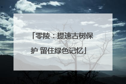 零陵：提速古树保护 留住绿色记忆