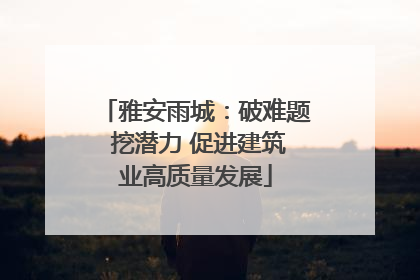 雅安雨城：破难题 挖潜力 促进建筑业高质量发展