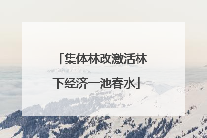 集体林改激活林下经济一池春水