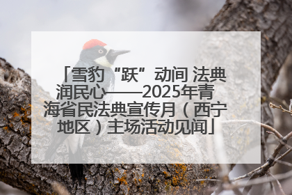 雪豹“跃”动间 法典润民心——2025年青海省民法典宣传月（西宁地区）主场活动见闻
