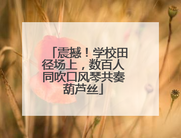 震撼！学校田径场上，数百人同吹口风琴共奏葫芦丝