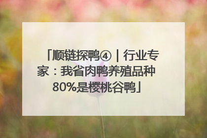 顺链探鸭④｜行业专家：我省肉鸭养殖品种80%是樱桃谷鸭