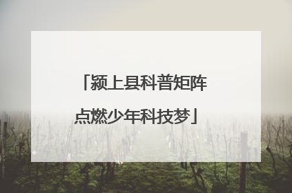 颍上县科普矩阵点燃少年科技梦