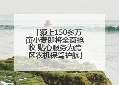 颍上150多万亩小麦即将全面抢收 贴心服务为跨区农机保驾护航