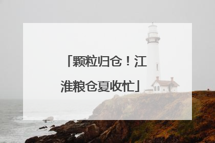 颗粒归仓！江淮粮仓夏收忙