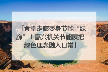 食堂走廊变身节能“绿廊”！嘉兴机关节能展把绿色理念融入日常