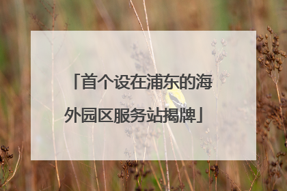 首个设在浦东的海外园区服务站揭牌