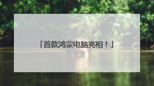 首款鸿蒙电脑亮相！