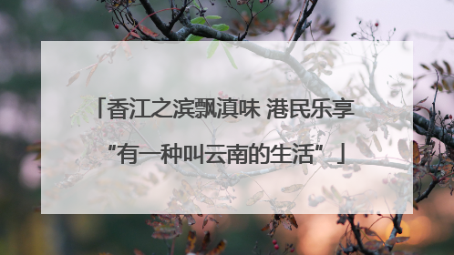 香江之滨飘滇味 港民乐享“有一种叫云南的生活”