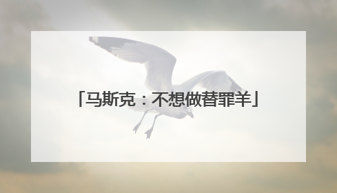 马斯克：不想做替罪羊
