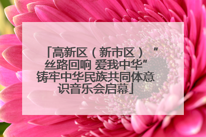 高新区（新市区）“丝路回响 爱我中华”铸牢中华民族共同体意识音乐会启幕