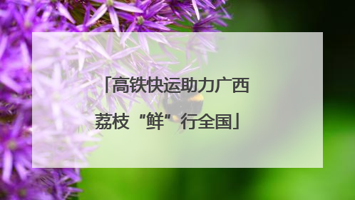 高铁快运助力广西荔枝“鲜”行全国