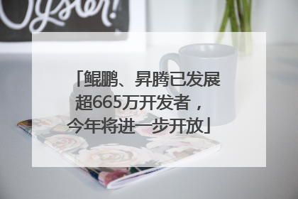 鲲鹏、昇腾已发展超665万开发者，今年将进一步开放
