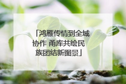 鸿雁传情到全域协作 甬库共绘民族团结新图景