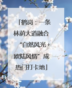 鹤岗：一条林荫大道融合“自然风光＋欧陆风情”成热门打卡地