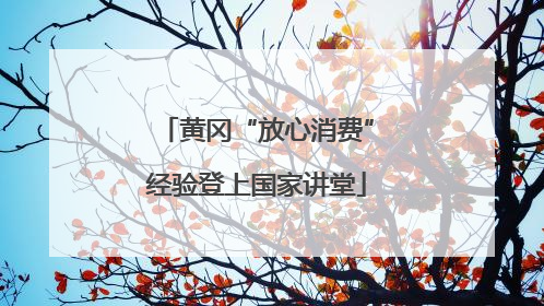 黄冈“放心消费”经验登上国家讲堂