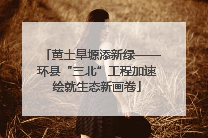 黄土旱塬添新绿——环县“三北”工程加速绘就生态新画卷
