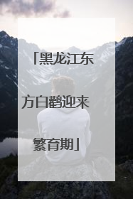 黑龙江东方白鹳迎来繁育期