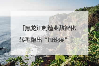 黑龙江制造业数智化转型跑出“加速度”