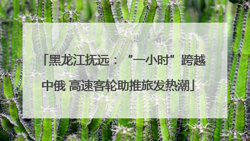 黑龙江抚远：“一小时”跨越中俄 高速客轮助推旅发热潮