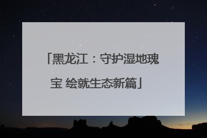 黑龙江：守护湿地瑰宝 绘就生态新篇