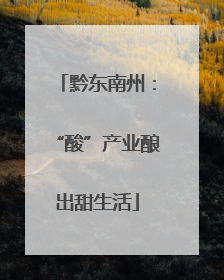 黔东南州：“酸”产业酿出甜生活