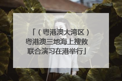 （粤港澳大湾区）粤港澳三地海上搜救联合演习在港举行