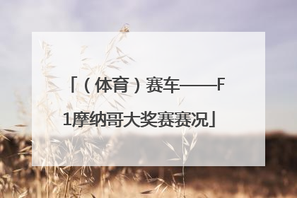 （体育）赛车——F1摩纳哥大奖赛赛况