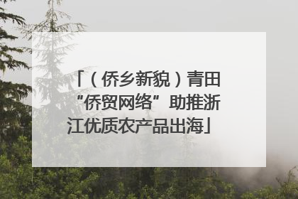 （侨乡新貌）青田“侨贸网络”助推浙江优质农产品出海