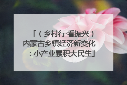 （乡村行·看振兴）内蒙古乡镇经济新变化：小产业累积大民生