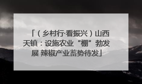 （乡村行·看振兴）山西天镇：设施农业“棚”勃发展 辣椒产业蓄势待发