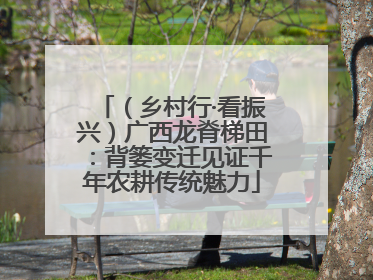 （乡村行·看振兴）广西龙脊梯田：背篓变迁见证千年农耕传统魅力