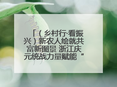 （乡村行·看振兴）新农人绘就共富新图景 浙江庆元统战力量赋能“海拔经济”