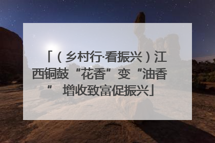 （乡村行·看振兴）江西铜鼓“花香”变“油香” 增收致富促振兴
