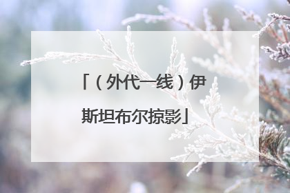 （外代一线）伊斯坦布尔掠影