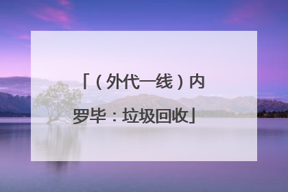 （外代一线）内罗毕：垃圾回收
