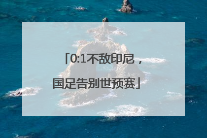 0:1不敌印尼，国足告别世预赛