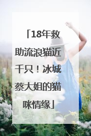18年救助流浪猫近千只！冰城蔡大姐的猫咪情缘