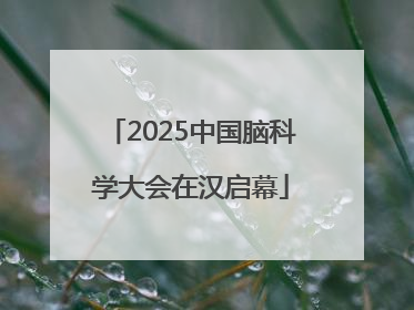 2025中国脑科学大会在汉启幕