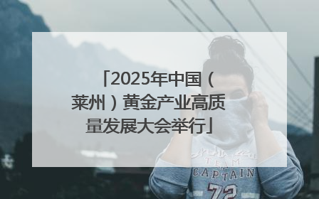 2025年中国（莱州）黄金产业高质量发展大会举行